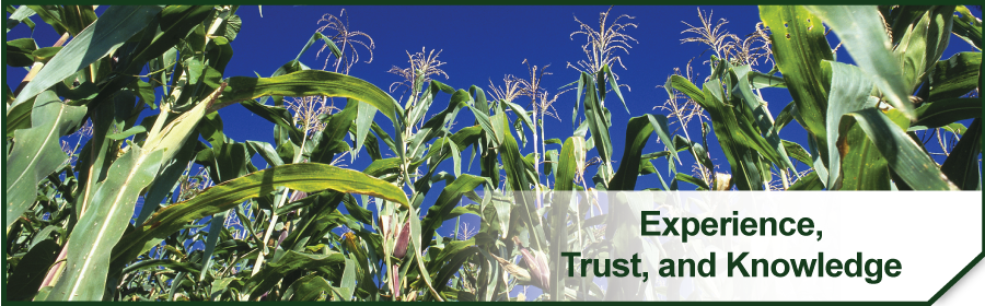 We are Active Farmers and Agents