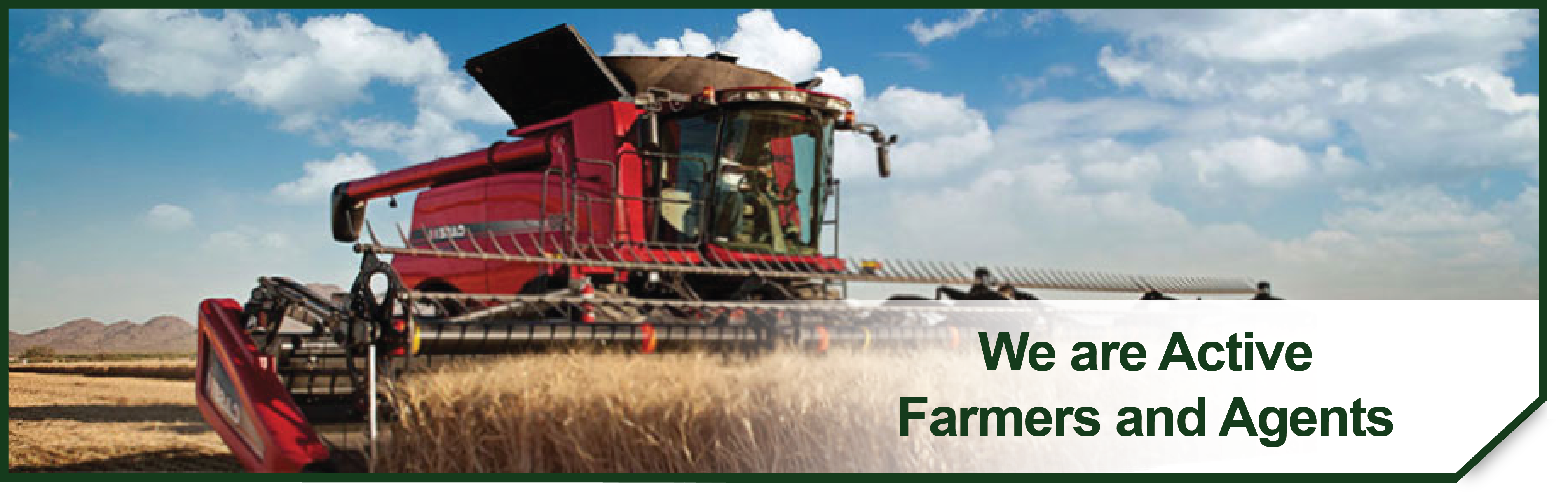 Experiene, Trust, and Knowledge